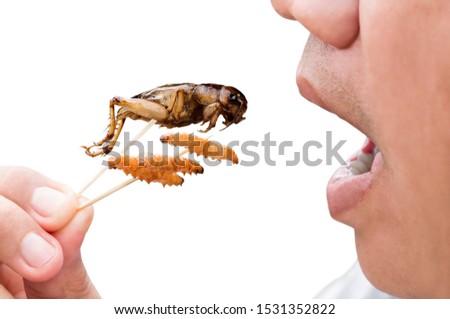 Food Insects: Man eating Bamboo Worms and Crickets insect deep-fried crispy for eat as food snack, it is good source of protein edible and delicious for future food. Entomophagy concept.