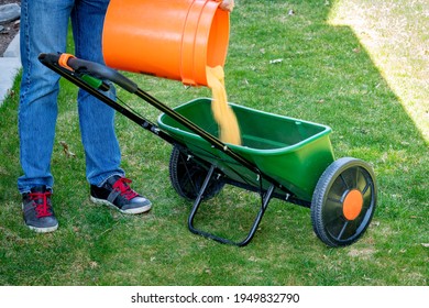 Food for a lawn is added to a chemical spreader