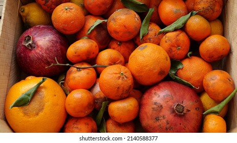 Food Loss At The Farm. Rotten Tangerines Oranges Pomegranates. Exotic Tropical Fruits. Biowaste, Heap Of Organic Waste, Food Waste, Composting