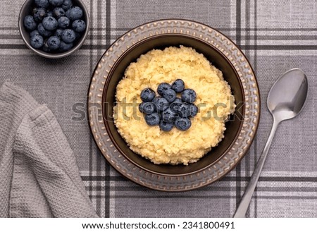 Food photography of millet porridge; blueberry; fibre; ripe; vegan; lifestyle; dish; berry; homemade; ingredient; grain; morning; cereal;