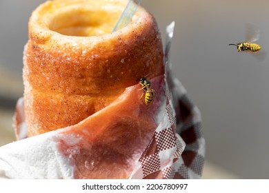 Food Photography With Wasps. Sugary Bun With Flying Wasps On It.