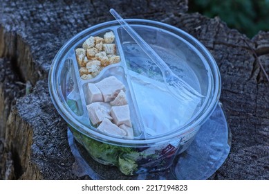 Food From Pieces Of Meat And Crackers In A White Plastic Plate With A Fork Standing On A Gray Wooden Table Outside