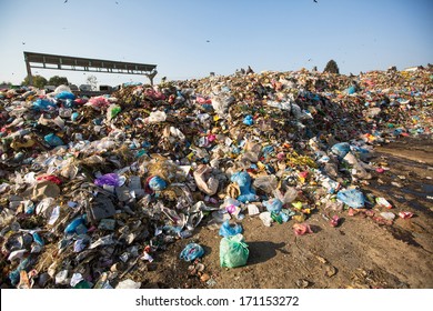 Food And Pile Of Domestic Garbage In Landfill.