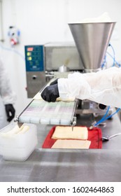 Food Production Line, A Machine For The Production Of Ready Meals In A Food Factory.