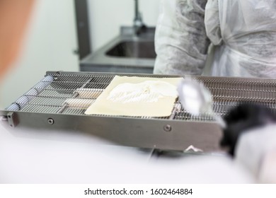 Food Production Line, A Machine For The Production Of Ready Meals In A Food Factory.