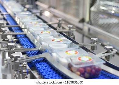 Food Products Boxs Transfer On Automated Conveyor Systems Industrial Automation For Package