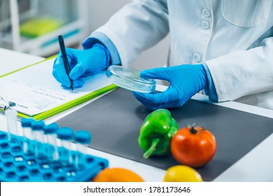 Food Quality Assessment In Microbiology Laboratory, Microbiologist Filling Forms, Following Standard Operating Procedure 