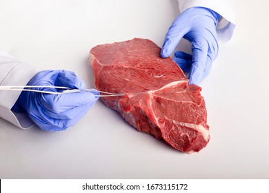 Food Quality Control. Doctor Inspecting Meat Sample With Tweezers