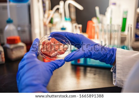 Food quality control expert inspecting at meat specimen in the laboratory. Selective focus. Food quality control expert inspecting at meat specimen in the laboratory. Meat sample in laboratory 