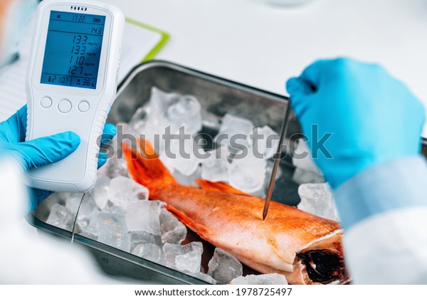 Food quality control inspection of sea fish -\
Measuring concentrations of heavy metals, searching for the\
presence of lead, mercury,\
cadmium.