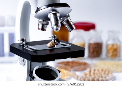 Food Quality Control In Laboratory Chick-pea No One