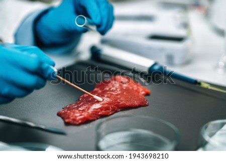 Food Quality Management - Red Meat. Microbiologist testing beef sample, looking for the presence of Salmonella or other pathogens