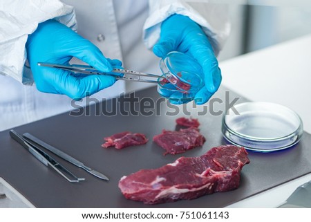 Food safety expert inspecting red meat in laboratory