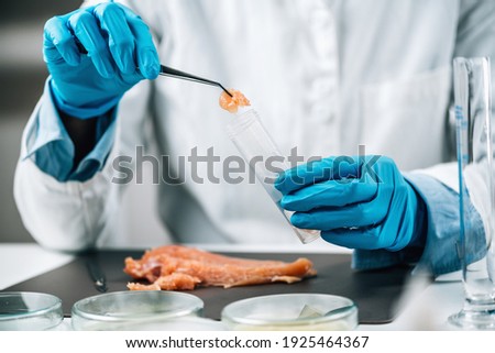 Food Safety Inspection of Raw Chicken Meat in a Laboratory. Quality control expert separating sample in a test tube. 