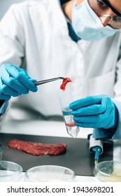 Food Safety Inspection Of Raw Red Meat In A Laboratory. Quality Control Expert Separating Beef Samples Into Test Tubes. 