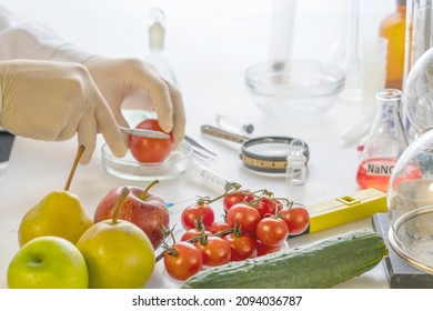 A Food Safety Inspector Checks Vegetables From The Market.