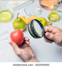 The Food Safety Inspector Is Testing Fruit From The Market. Holds A Magnifying Glass In His Hand.