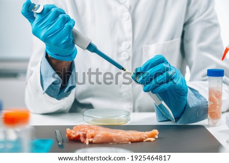 Food safety and quality assessment. Microbiologist testing poultry sample for the presence of salmonella and Escherichia coli,