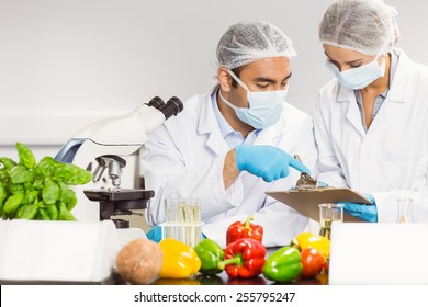 Food Scientists Using The Microscope For Research At The University