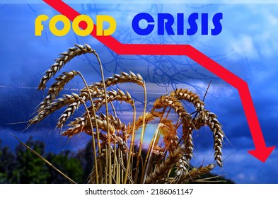 Food Supply Crisis. Problems With The Supply Of Wheat And Flour. Global Food Crisis.The Threat Of Hunger To The Whole World.Ukraine's War On Russia.