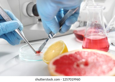 Food testing in the laboratory. The lab technician prepares a sample for microscopic examination. - Powered by Shutterstock