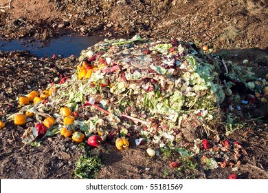 Food Waste