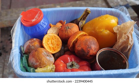 Food Waste in Households. Spoiled rotten fruits and vegetables. Food Spoilage, Wasted Food At Home