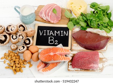 Foods Highest In Vitamin B2 (Riboflavin). Healthy Food. Top View