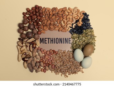 Foods rich in methionine. Natural sources of methionine are various nuts, seeds, wheat germ and eggs. - Shutterstock ID 2140467775