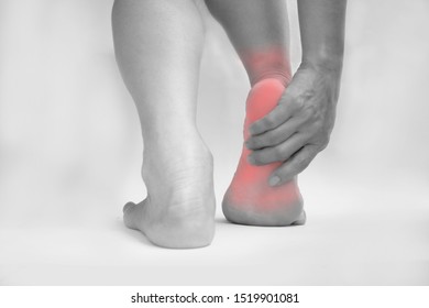 24,652 Ankle joint Images, Stock Photos & Vectors | Shutterstock