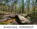 Foot Bridge over Moonshine Creek on Moonshine Creek Trail at San Felasco Hammock Preserve State Park, Florida