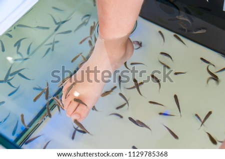 foot in fish spa