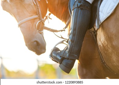 Foot In Horse Stirrup, Close-up. Horse Theme 