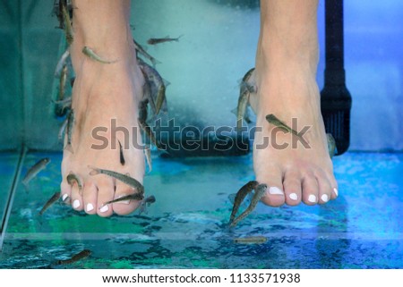 foot massage with fish in aquarium close-up