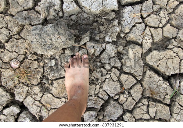 Foot Naked Feet On Dry Soil Stock Photo Shutterstock