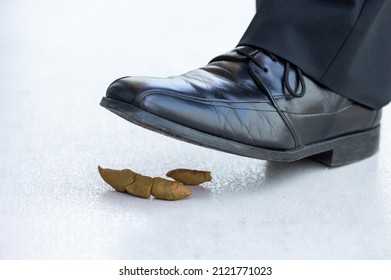 The Foot Of A Pedestrian In A Shoes Is About To Step In Dog Poop On The Road - Very Nearly A Smelly, Messy Accident!