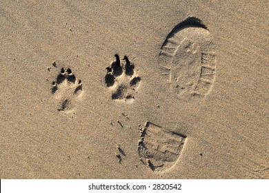 A Foot Print And Dog Paw Prints In The Sand On A Beach.