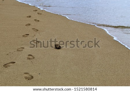 Foot prints on the the beach