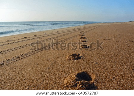 Foot prints on a golden sand beach