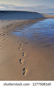 Foot Prints On A Sandy Cap Cod Massachusetts Beach Vertical