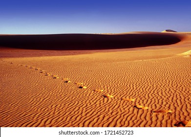 Desert Sand Dunes Images Stock Photos Vectors Shutterstock