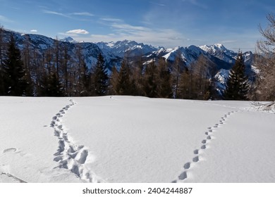 Foot prints in the snow on mountain summit of Matschacher Gupf in Karawanks, Carinthia, Austria. Winter wonderland in Austrian Alps. Snow shoe hiking with scenic view of Julian Alps. Serene atmosphere