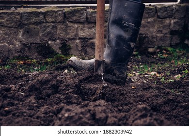 Foot In The Rubber Band Pushes The Spade Into The Ground And Creates A Groove For Further Landscaping Of The Garden. Hard Manual Work.