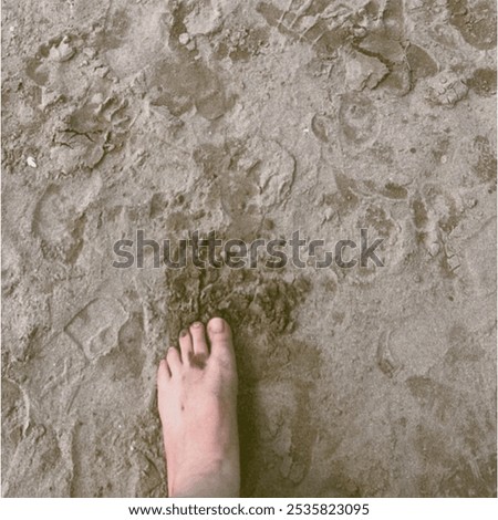 Similar – Image, Stock Photo Feet on the beach Beach