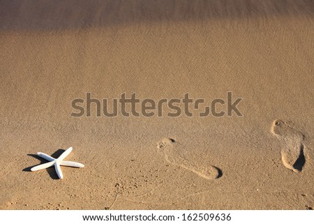 Similar – Shovel and starfish on the beach