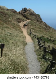 Foot trail at Point Arena State Park Northern California USA.