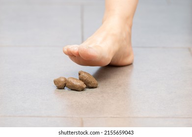 The Foot Of A Woman In A Pumps Is About To Step In Dog Poop At Home  - Very Nearly A Smelly, Messy Accident!