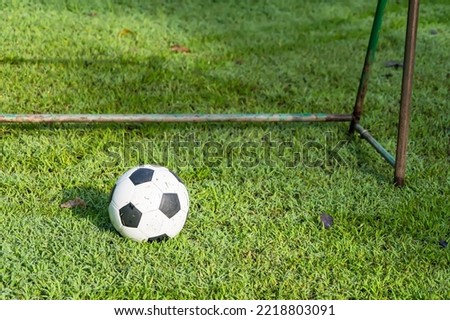 Football balloon on the green grass.
