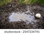 Football and a bucket in a muddy field