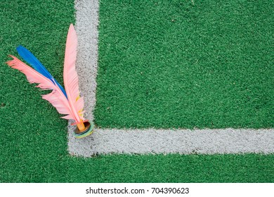 A Football Field And Jianzi 